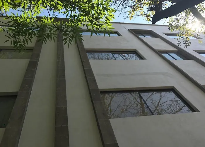 Unique And Beautiful In Polanco